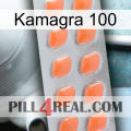 Kamagra 100 26